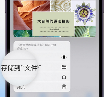 平桥apple维修中心分享iPhone文件应用中存储和找到下载文件