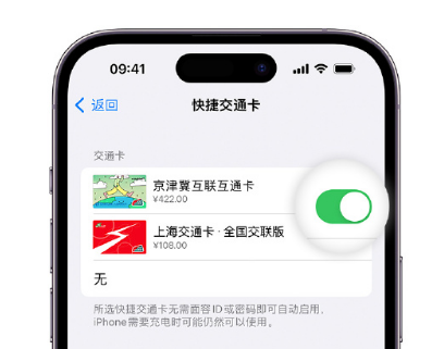 平桥apple维修点分享iPhone上更换Apple Pay快捷交通卡手绘卡面 