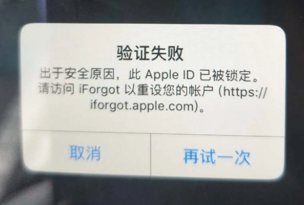 平桥iPhone维修分享iPhone上正常登录或使用AppleID怎么办 