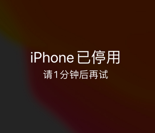 平桥苹果手机维修分享:iPhone 显示“不可用”或“已停用”怎么办？还能保留数据吗？ 