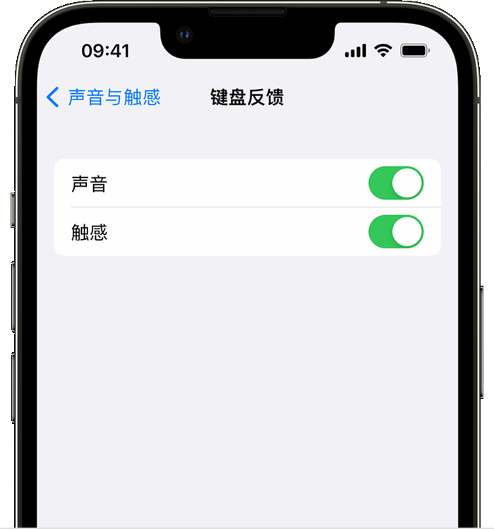 平桥苹果14维修店分享如何在 iPhone 14 机型中使用触感键盘 