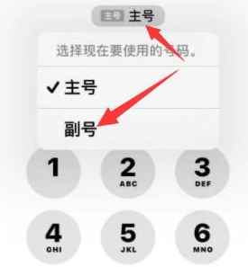 平桥苹果14维修店分享iPhone 14 Pro Max使用副卡打电话的方法 