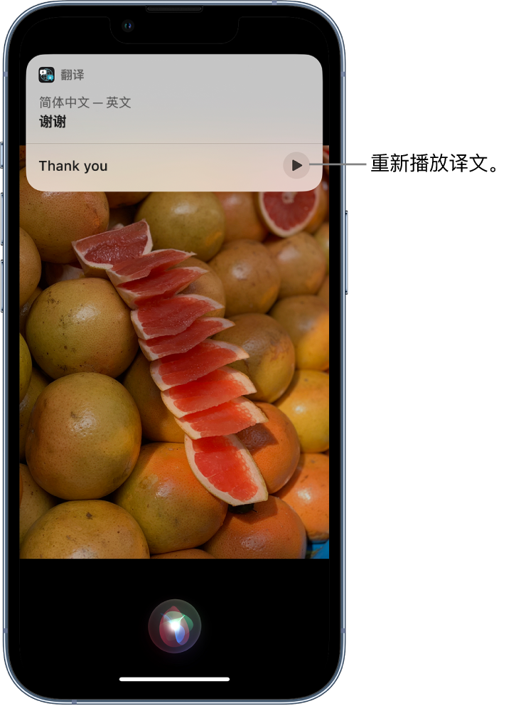 平桥苹果14维修分享 iPhone 14 机型中使用 Siri：了解 Siri 能帮你做什么 