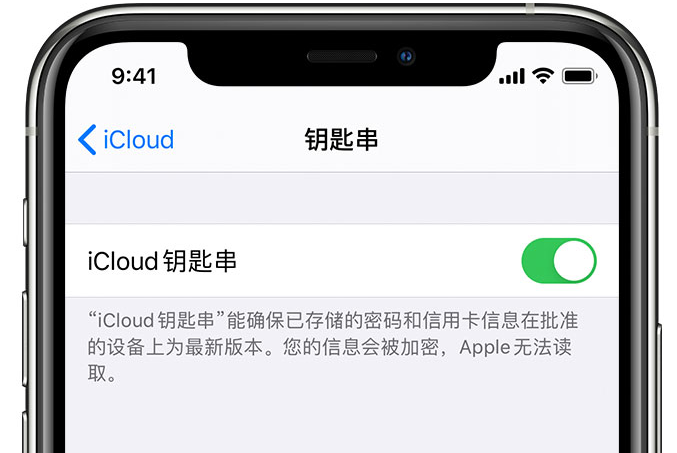 平桥苹果手机维修分享在 iPhone 上开启 iCloud 钥匙串之后会储存哪些信息 