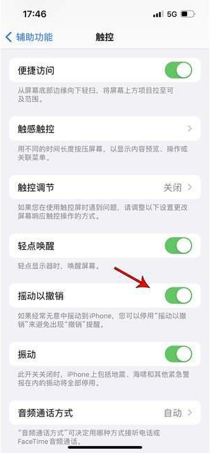 平桥苹果手机维修分享iPhone手机如何设置摇一摇删除文字 