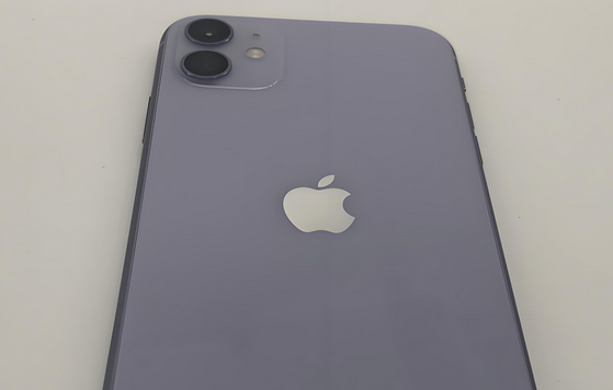 平桥苹果11系统维修分享iPhone11手机系统崩溃无法开机如何解决